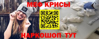 индика Кингисепп