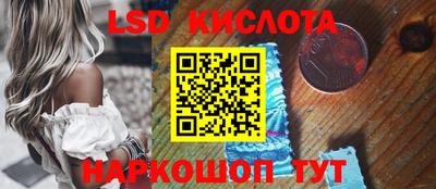 индика Кингисепп