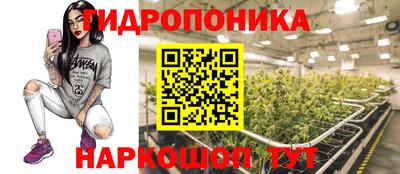 ешки Кинель