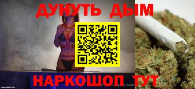 индика Кингисепп