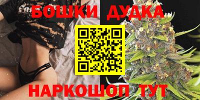 спиды Кимры
