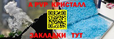 индика Кингисепп