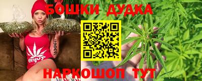 индика Кингисепп