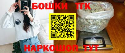индика Кингисепп