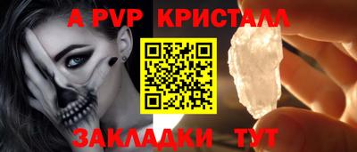 индика Кингисепп