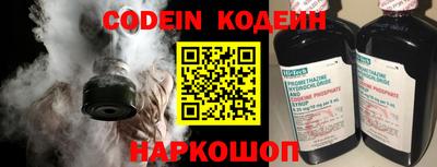 индика Кингисепп