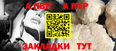 индика Кингисепп