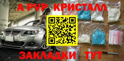 индика Кингисепп