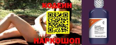индика Кингисепп