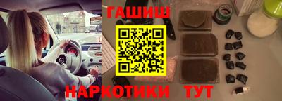 индика Кингисепп