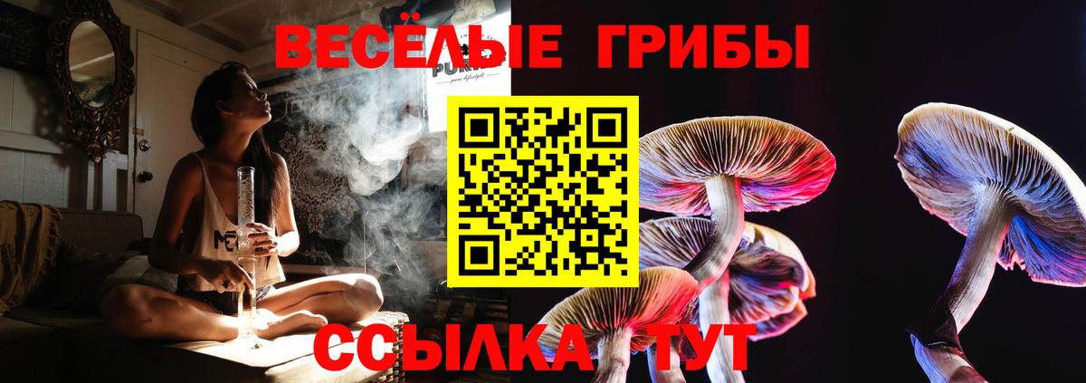 Псилоцибиновые грибы MAGIC MUSHROOMS  Вход с VPN  наркота  Шадринск 