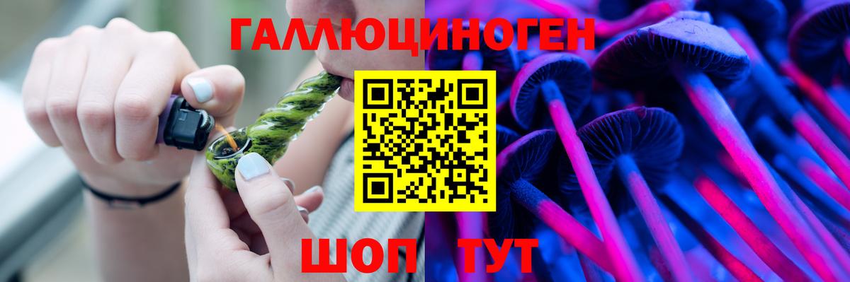 Псилоцибиновые грибы Psilocybine cubensis Шадринск